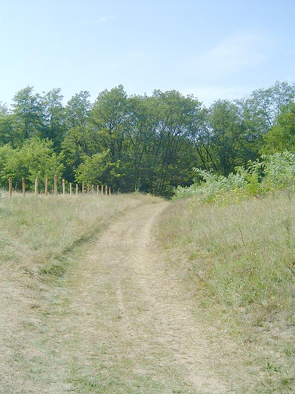 2009.08.22 026.jpg